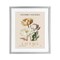 Stupell Industries Natural Lotus Bundle Framed Print Under Glass, design by Christopher Giampietro